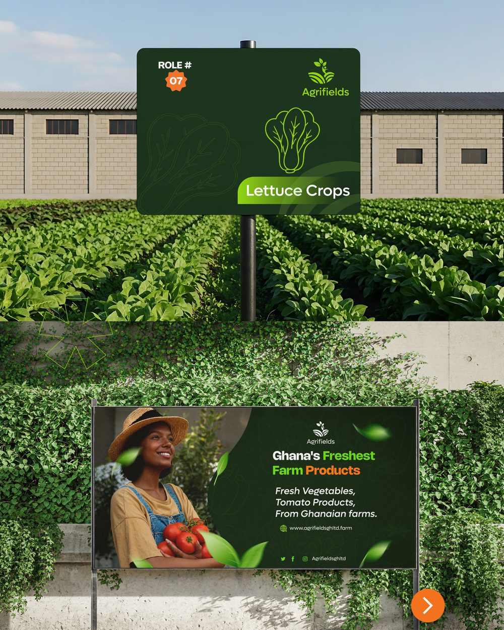 Agrifields farm signage and roadside billboard in a lettuce field
